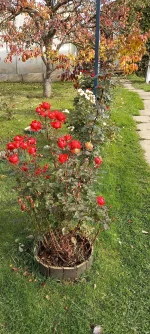 20211006_102553.webp