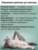 y7Vm7wL7BY4.webp