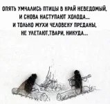 FB_IMG_1633839441860.webp