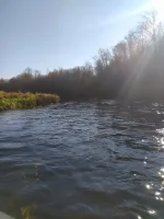 IMG-20211011-WA0012.webp