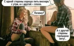 805cba3bbbb8.webp