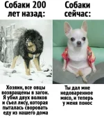 e8836cd436ef.webp