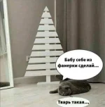 FB_IMG_1635051786193.webp