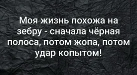 IMG-bc06abffabe8f98e9fba48a5f25ad8ab-V.webp