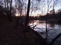 20211025_174246.webp