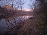 20211025_174234.webp