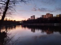 20211025_173908.webp