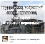 8edd7bce5e16.webp