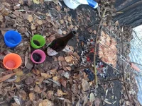20211031_160846.webp