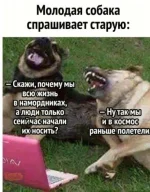 scale_1200 (1).webp