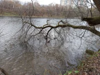 20211106_141036.webp