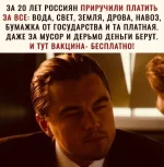 факцина.webp