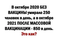 FB_IMG_1636619510119.webp