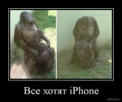247907029_4427177967400758_1186997043627816892_n.webp