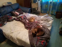 IMG_20211115_155037.webp