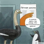 FB_IMG_1637096069562.webp