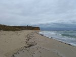 IMG_20211120_111112_156.jpg