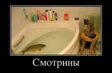 afedfb792fe7.webp