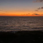 IMG-20211121-WA0078.webp
