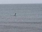 IMG-20211123-WA0014.jpg