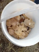 20211124_111930.webp