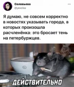 16166854.webp