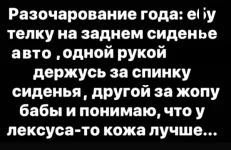 16166821.webp