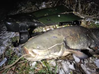 IMG_20211119_034057.webp