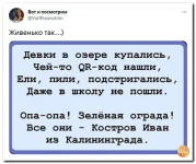 16 (33).webp