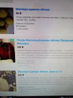 20211130_205910.webp