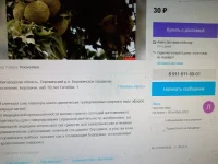 20211130_210537.webp