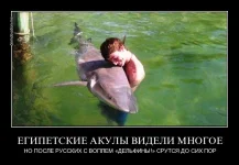 i8oiu1wse0wf.webp