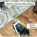 40d18babf45b.webp
