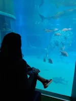 20190708_170722.webp