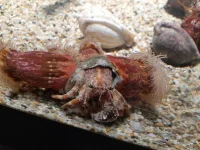 20190708_181224.webp