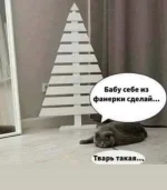 FB_IMG_1639371296327.webp