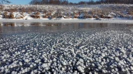 IMG_20211212_115445.webp