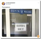 15 (37).webp