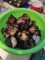 IMG_20220101_165749.jpg