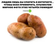 845783cd1699.webp