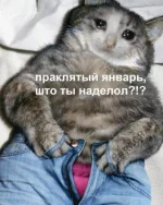 16377961.webp