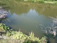 IMG_20190820_141407.webp IMG_20190820_141407.webp