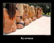 c57e8dead98a.webp
