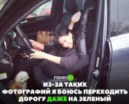 f594088279d7.webp