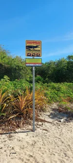 20220131_082545.webp 20220131_082545.webp