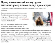 16409823.webp