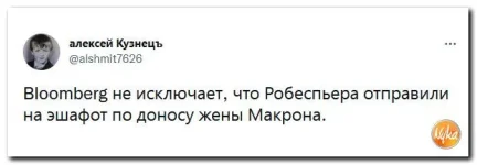 10 (14).webp