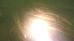 685EF176-D5C0-4D01-B13B-F89736C18E60.png