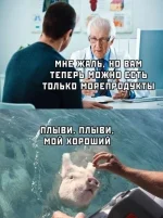 4789985_original.webp