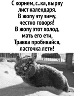 FB_IMG_1644578679528.webp
